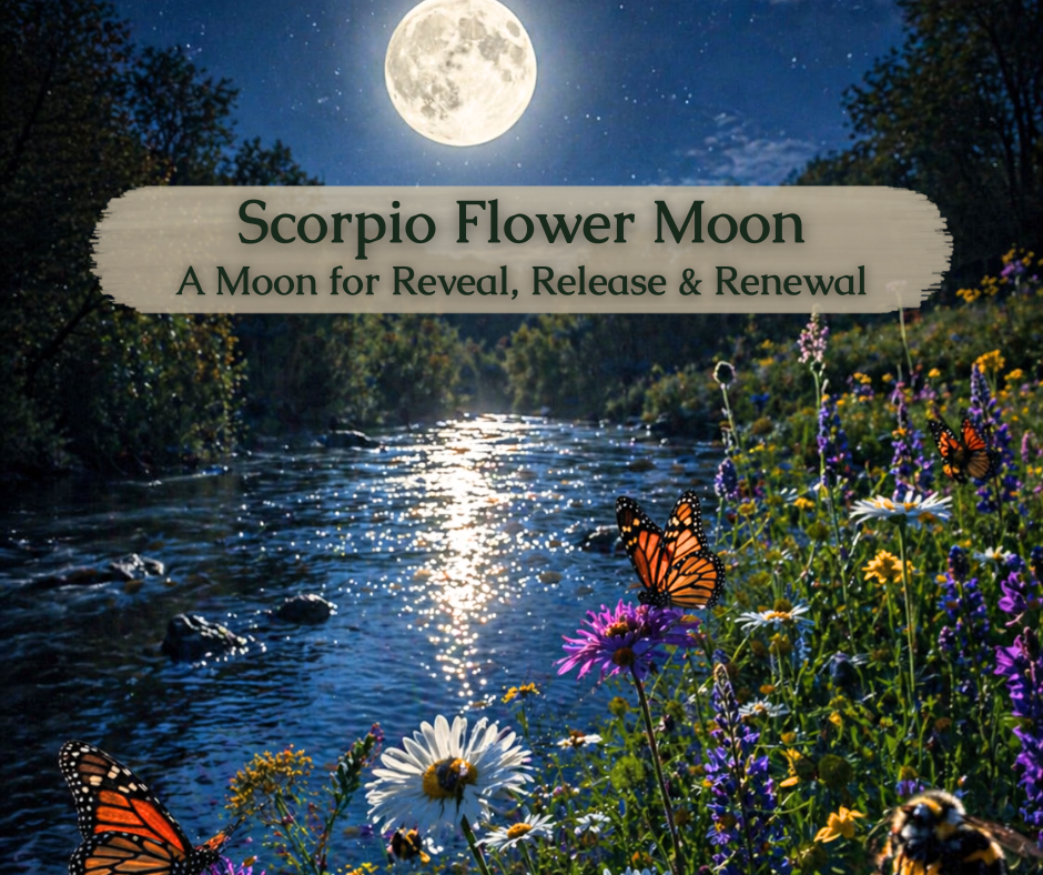 The Full Moon in Scorpio Is Here: What It’s Trying to Reveal, Release, and Renew