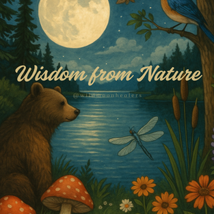 What Nature Teaches Us: Wild Wisdom from Nature
