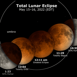 How to Enjoy the Super Flower Blood Moon Eclipse