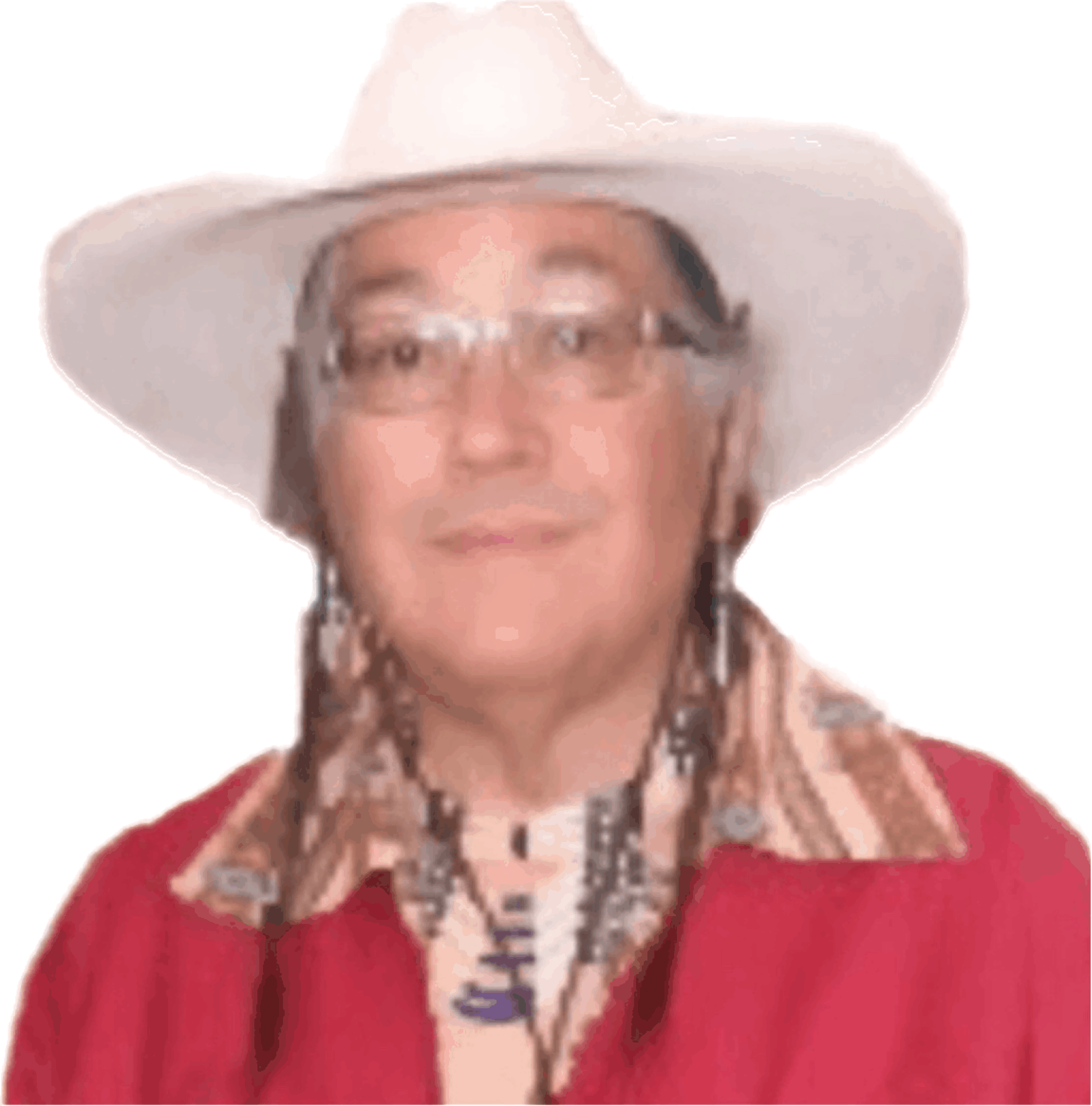 NDIS Dr. Joseph B Stone Indigenous Confe