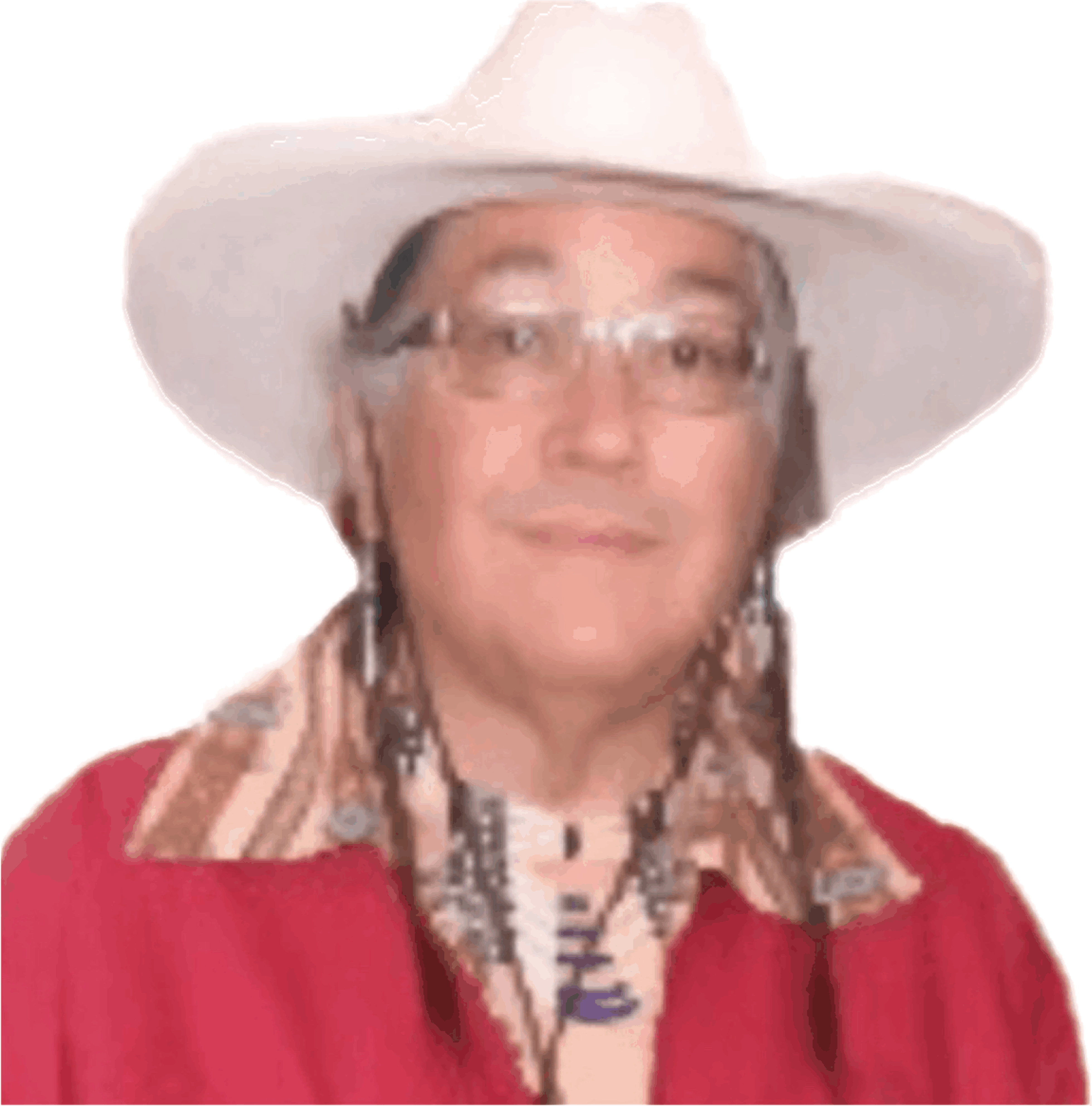 NDIS Dr. Joseph B Stone Indigenous Confe