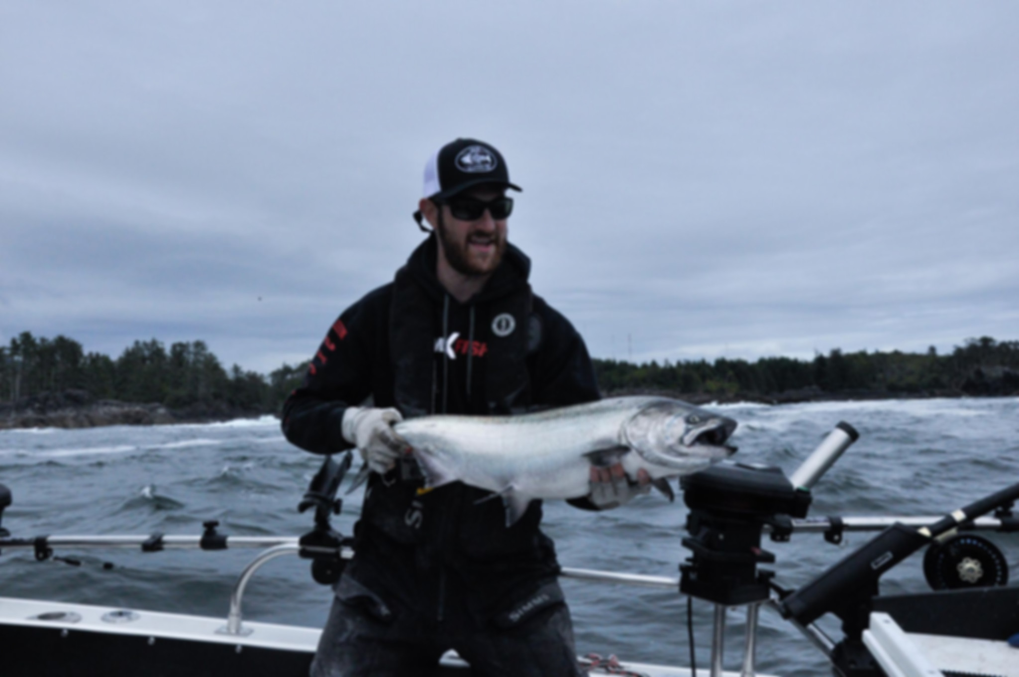 spring salmon