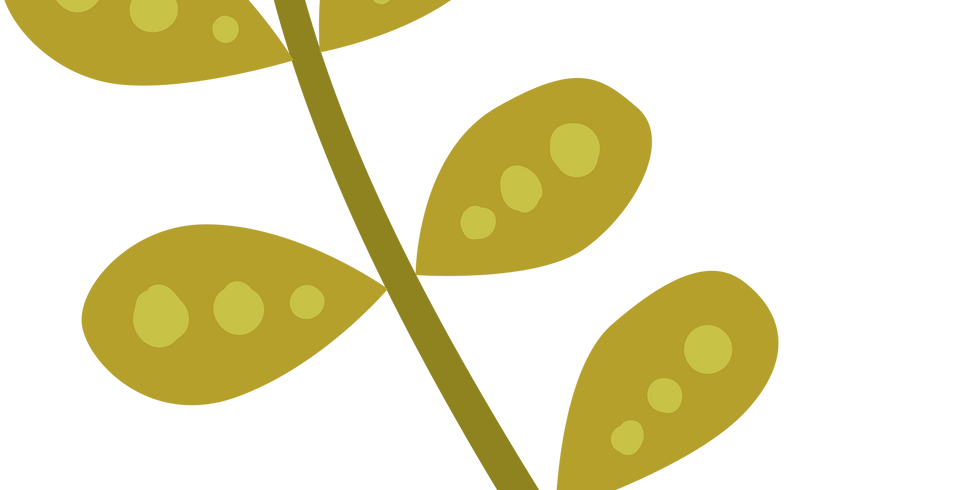 Emotional Wellbeing
