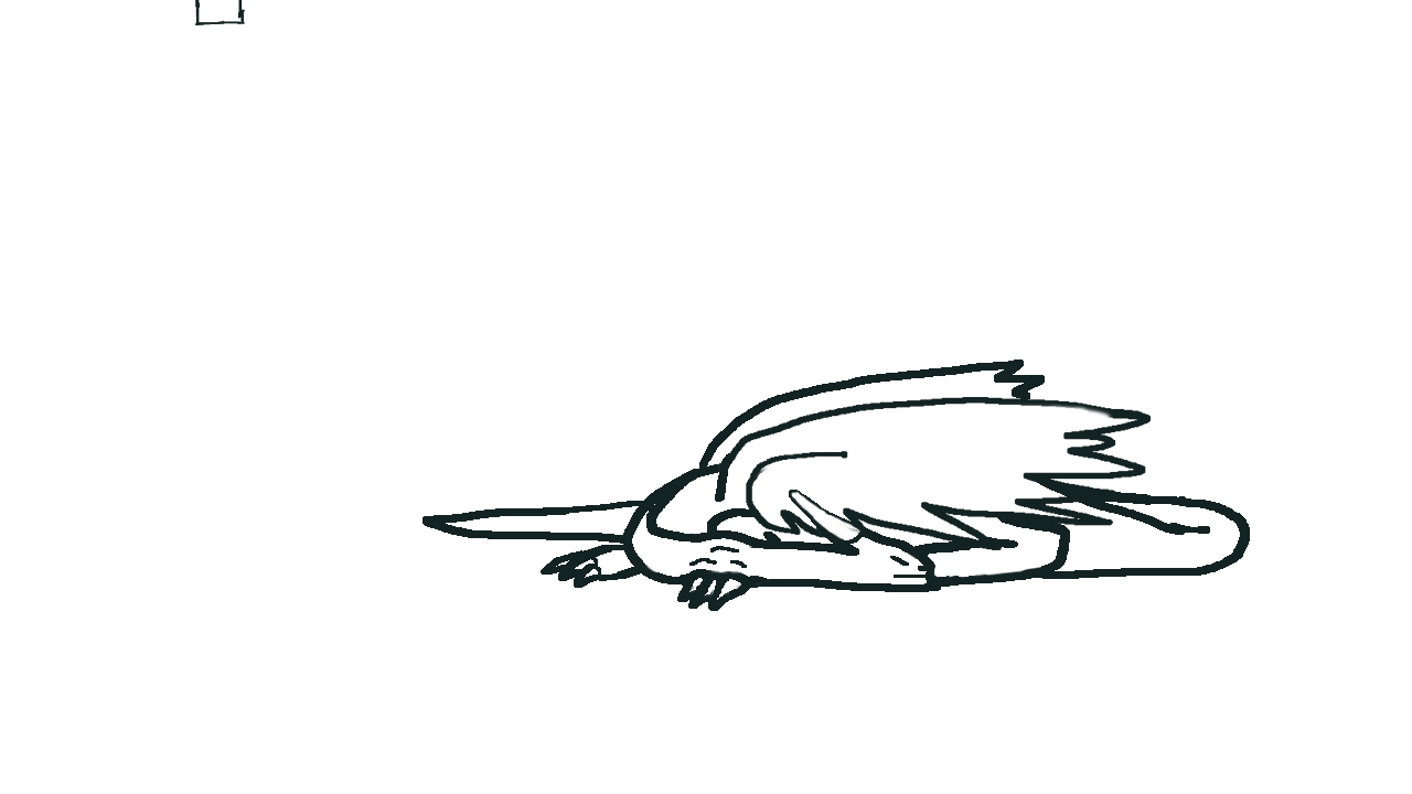 animation.gif