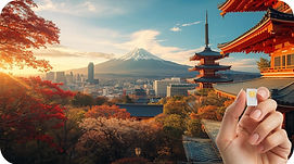 Fondo Japón Shop SIm.jpg