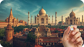 Fondo Asia Shop SIM.jpg