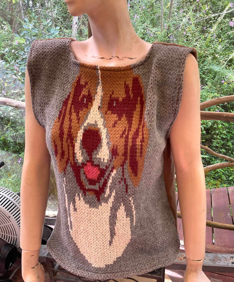 Thumbnail: Tongue out dog on vest