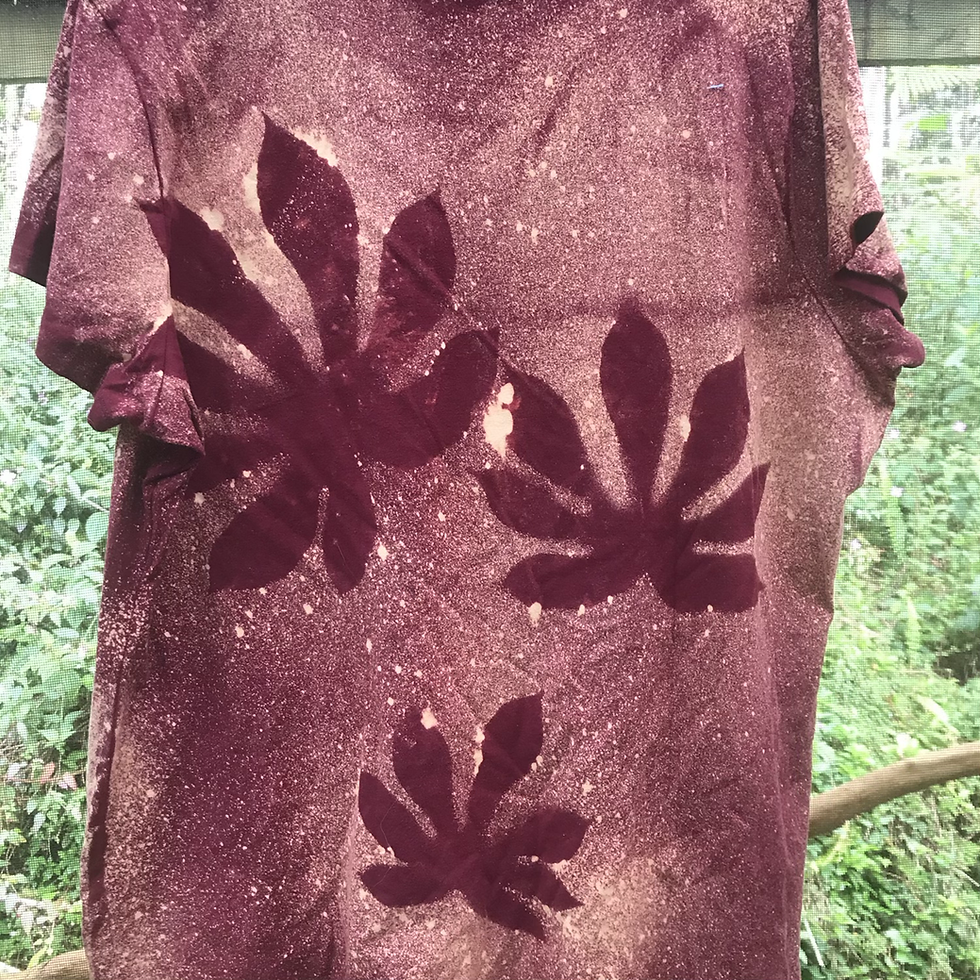 Thumbnail: Mens T cotton with ferns or other leaf