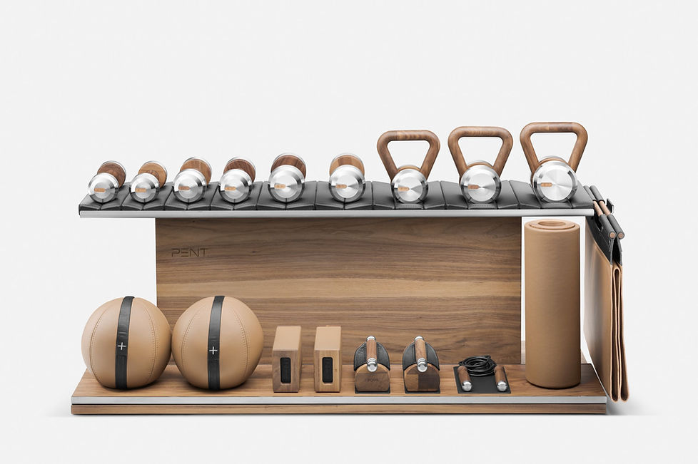 PENT. High End Home Gym Equipment