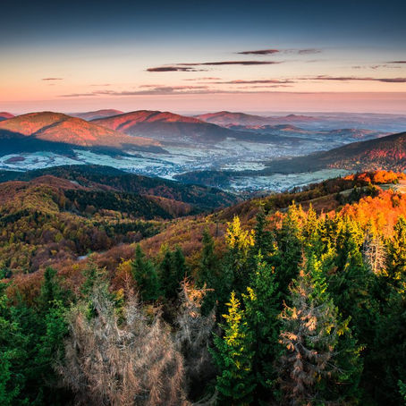 Luksusowe Domy ze Szkła i Drewna PANORAMA™ w Polsce