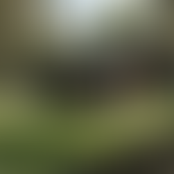 Koszt domu model LAMBDA - ile zapłacisz za energooszczędny dom pod klucz?