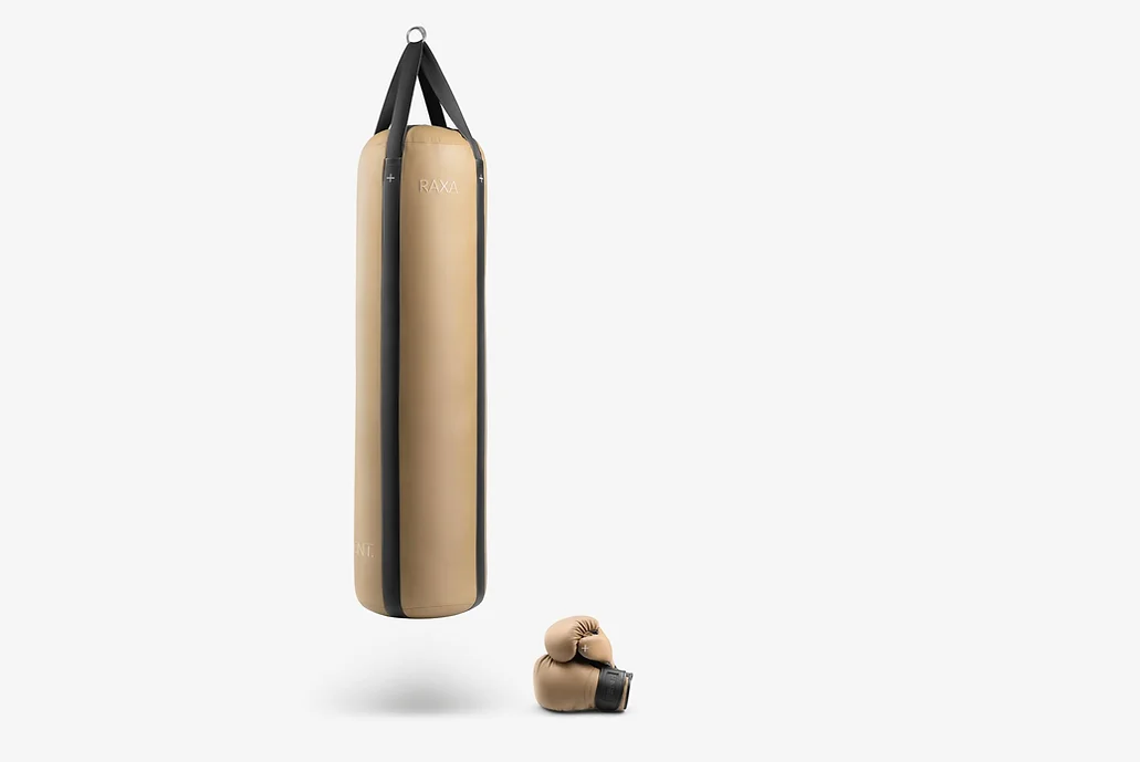 PENT. Luxury Leather Punching Bag and Gloves