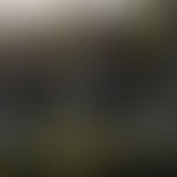 Modern Mobile Homes on Screw Piles. Luxury Living Without a Permanent Foundation.