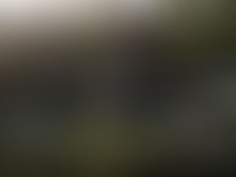 Modern Mobile Homes on Screw Piles. Luxury Living Without a Permanent Foundation.