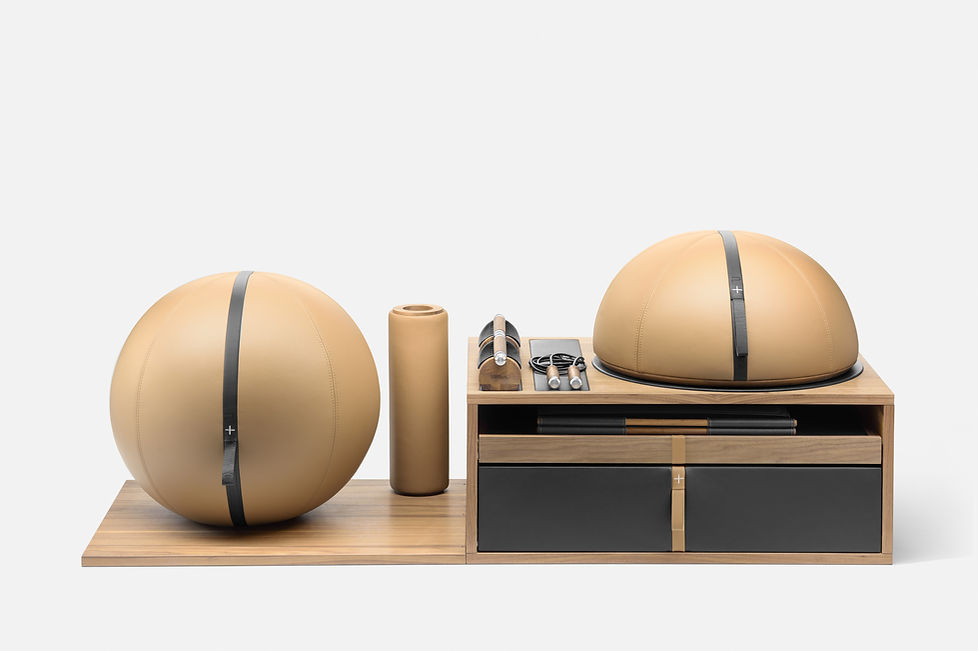 Racka PENT. luxury fitness equipment set.jpg