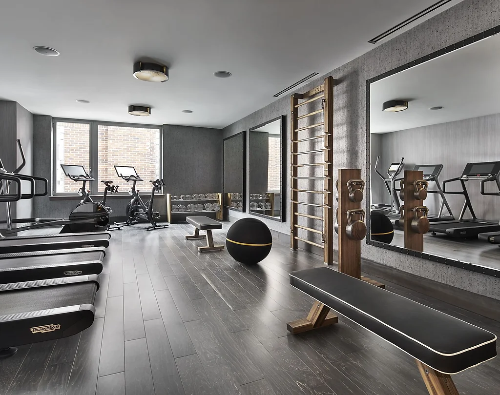 Luxury Home Gym Equipment Luxury Home Gym Equipment