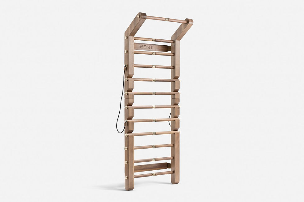 scala wall bar high end luxury home gym equipment.jpg