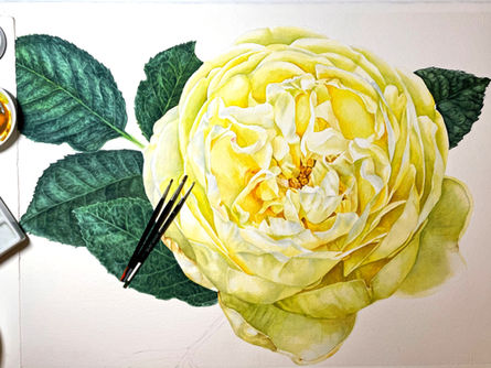 On Painting: Working in a Series