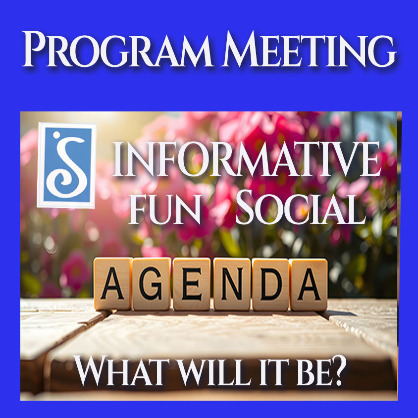 Program Meeting