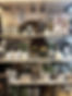 IMG_7041.jpeg