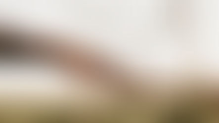 Comprendre son lien d’attachement : entre peur de l’abandon et peur de la fusion !