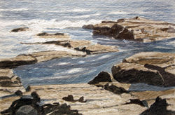 Rocks the Shore at Prouts Neck