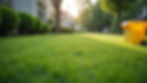 Home-About-1.jpg