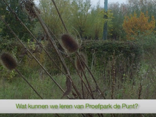Afscheid van Proefpark de Punt