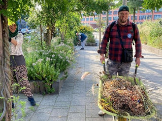 Unique Selling Points Stadsgeneeskunde