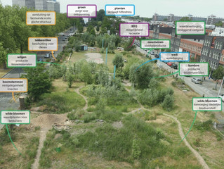 Wat is je initiatief waard ?