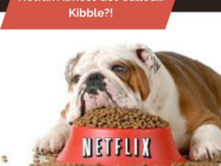 Tech History: Netflix Almost Got Called… Kibble?!