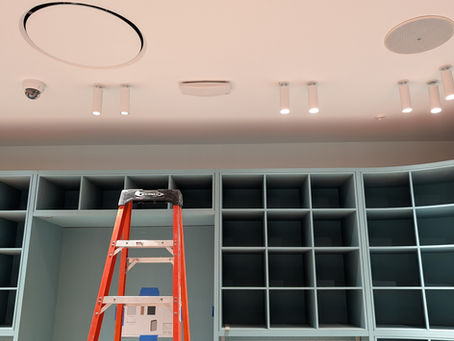 What we've been up to . . .