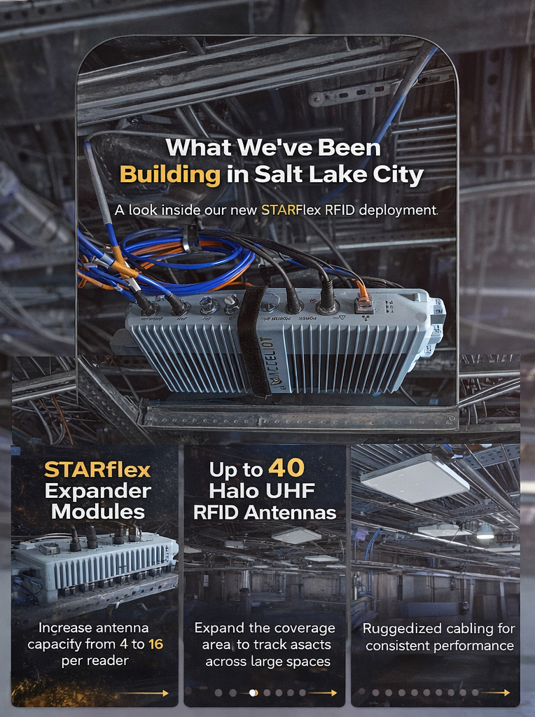 What we've been up to . . .