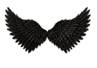 AC4A4567-0438-4BA8-B4FB-508C4A35C00E_edi