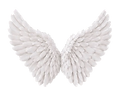 IMG_2804_edited.png