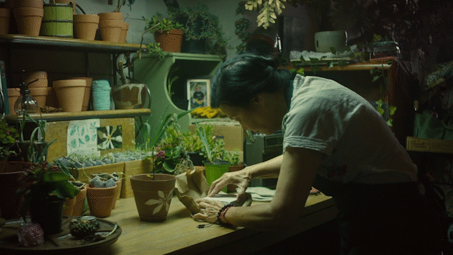 infullbloom_gif.gif