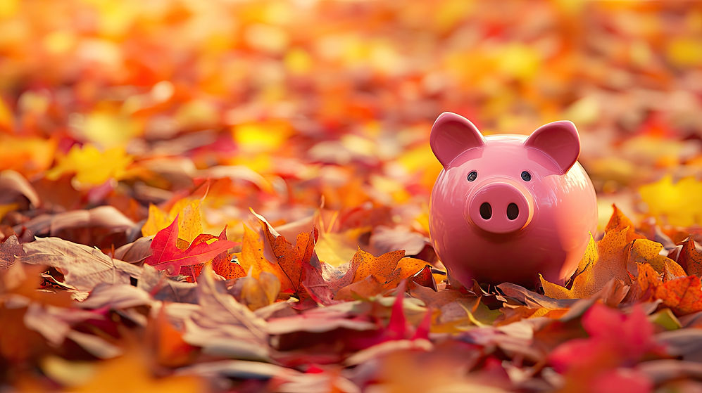AdobeStock_1205399329_Autumn Budget.jpg
