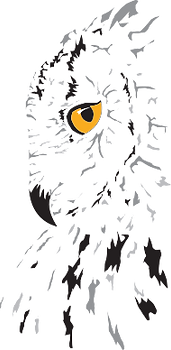 New Project (1).png