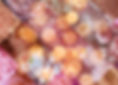 DragonFlyLogo01_RT2_V5J_PANEL_CF_edited_edited.jpg
