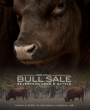 Screen Shot 2025-02-06 at 4.58.10 PM.png