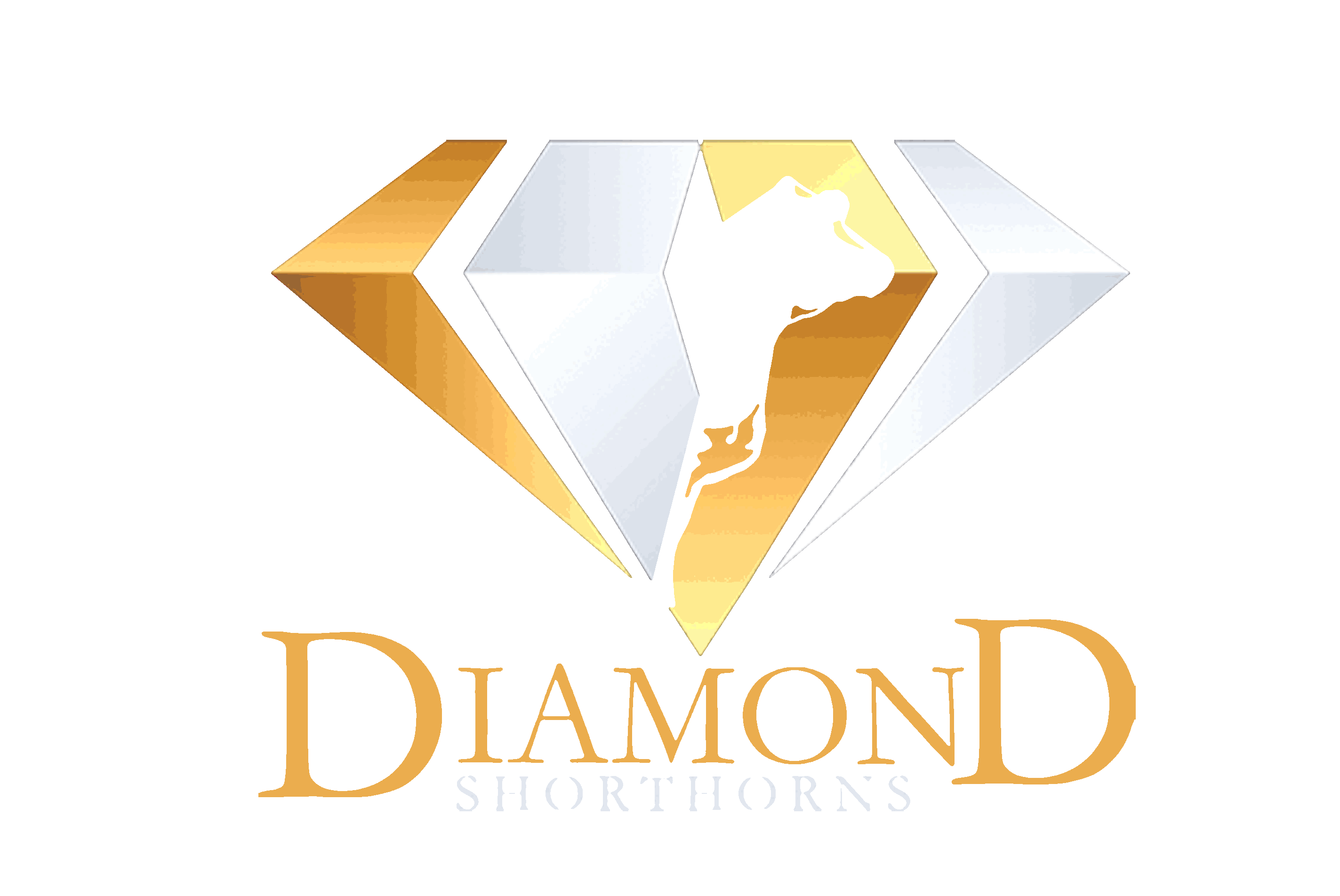 logo diamond.gif