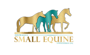 FINAL LOGO GOLD AND TEAL.png