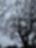 IMG_2042.jpeg