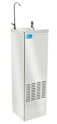 WFT6 drinking water fountain