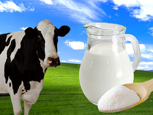 Fresh or Powdered Milk - How will you create your coffee shop experience?