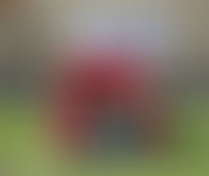 Kestrels Win Promotion