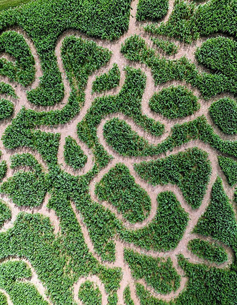 NH Corporate Events PDF.jpg