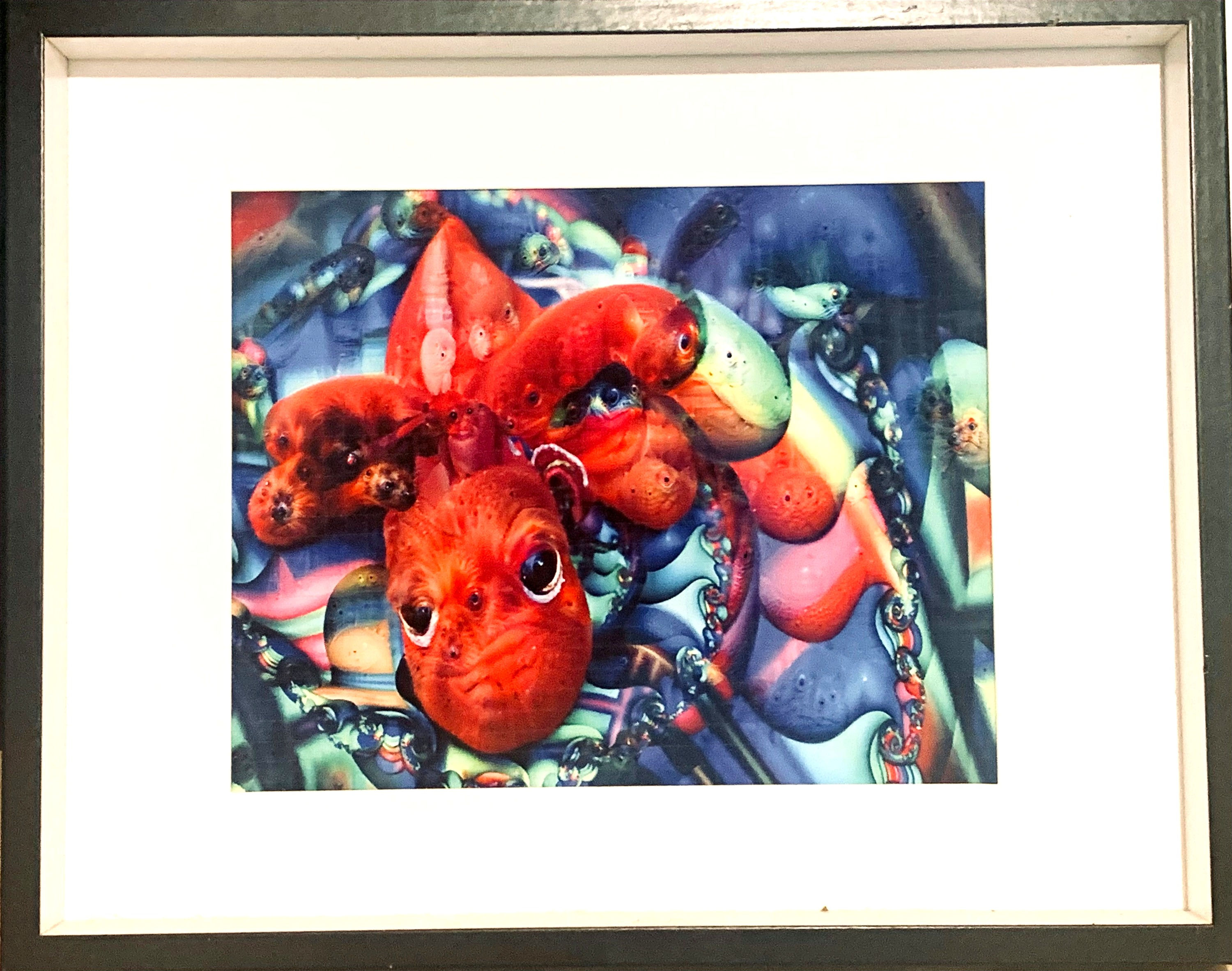 LSDragon special edition