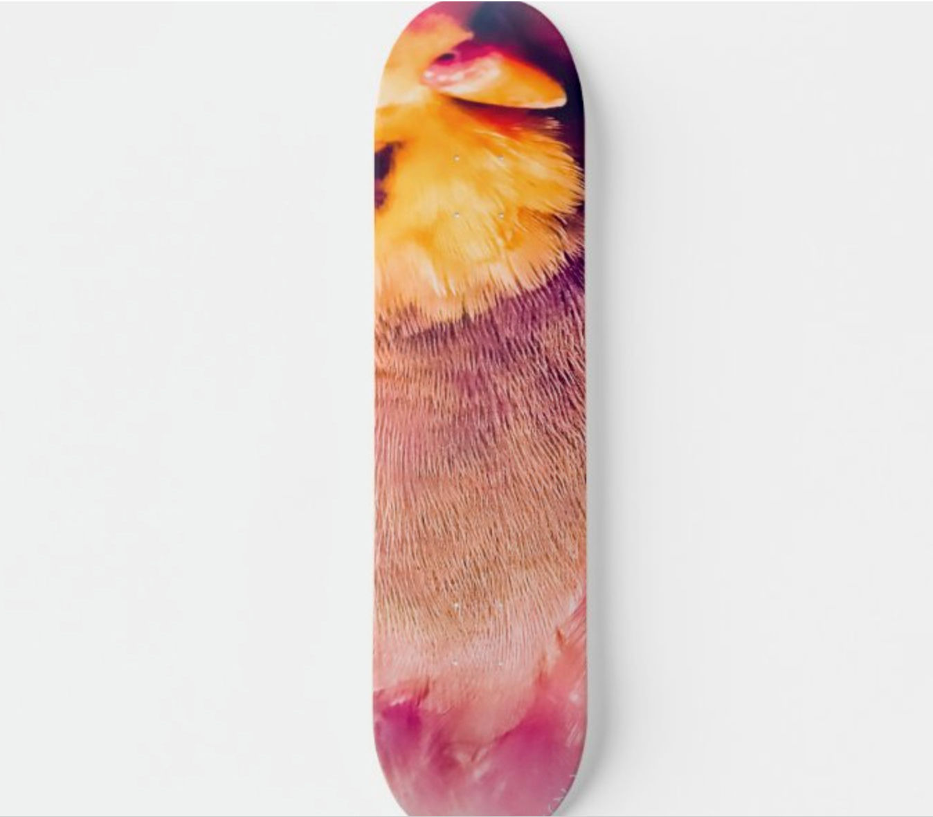 maple skateboard deck with designer print