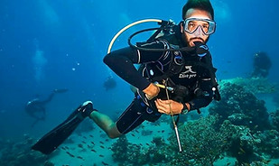 Kamel the manager underwater